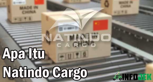 Apa Itu Natindo Cargo